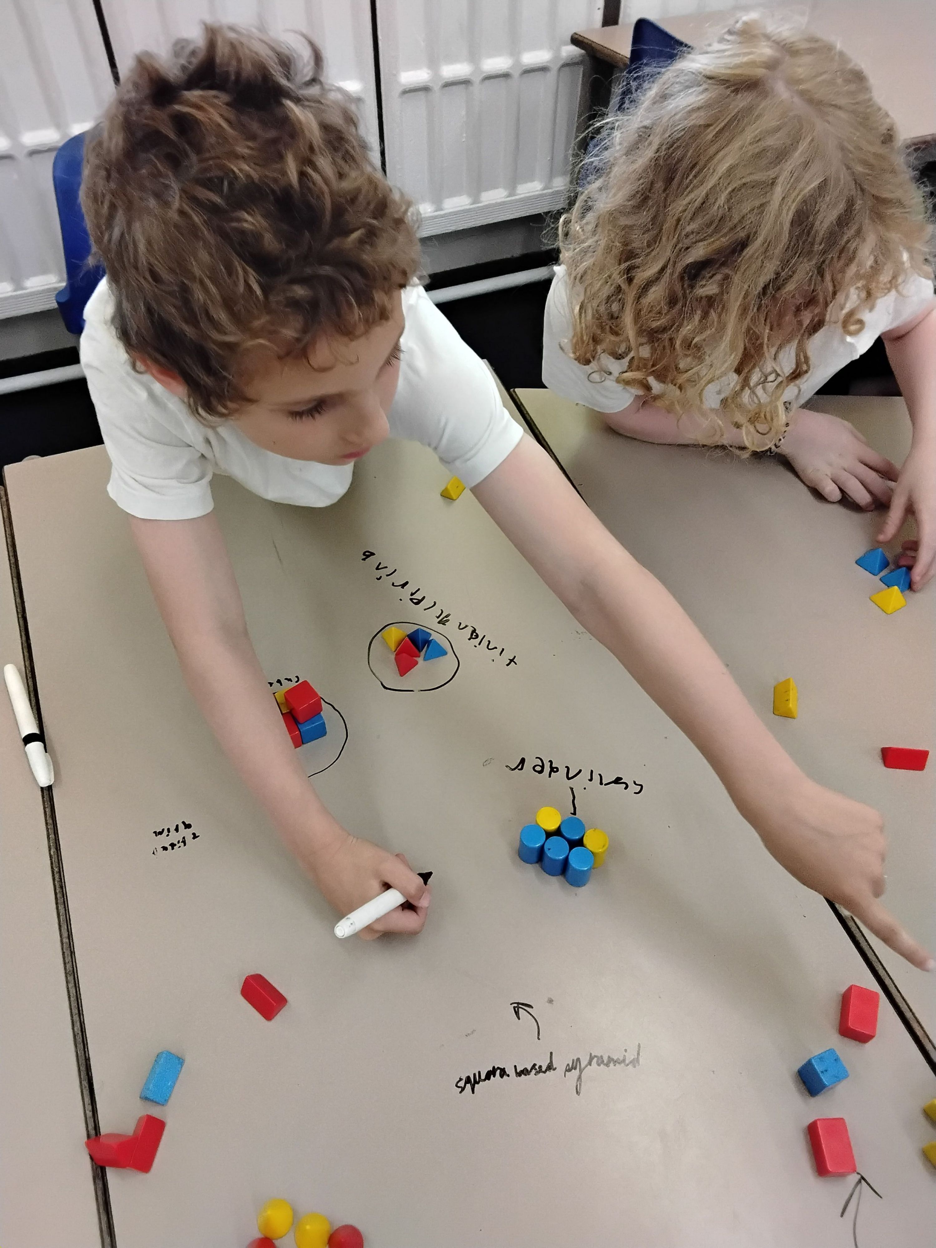 Sorting 3D shapes