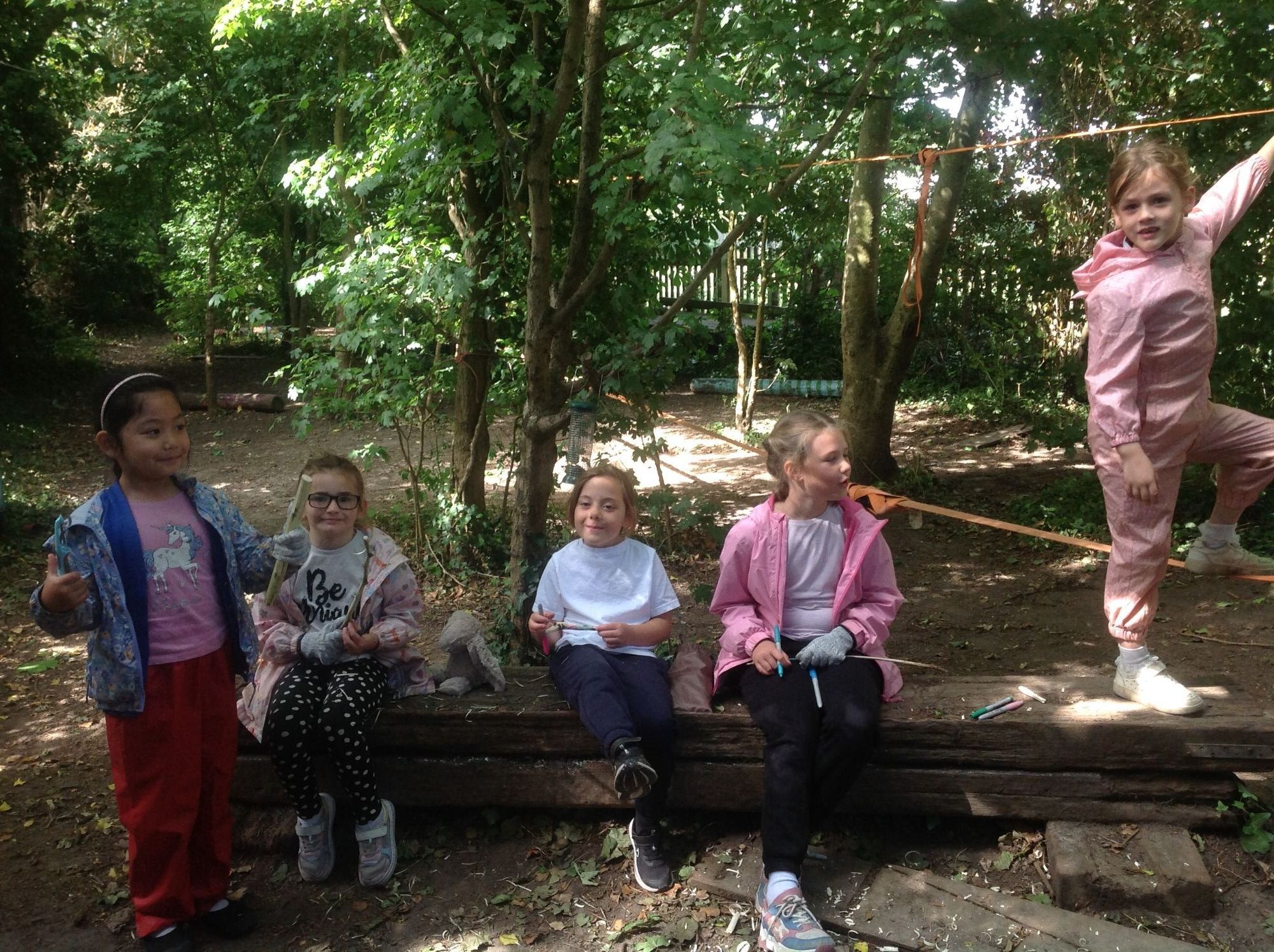 Forest fun