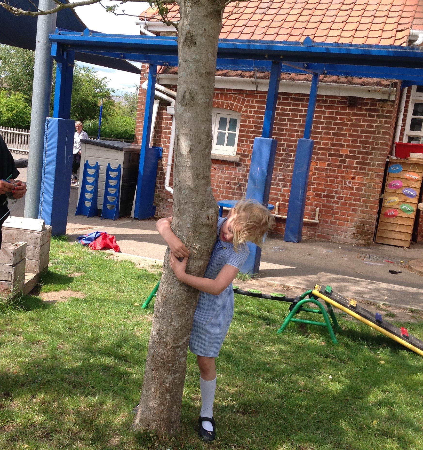 measuring trees
