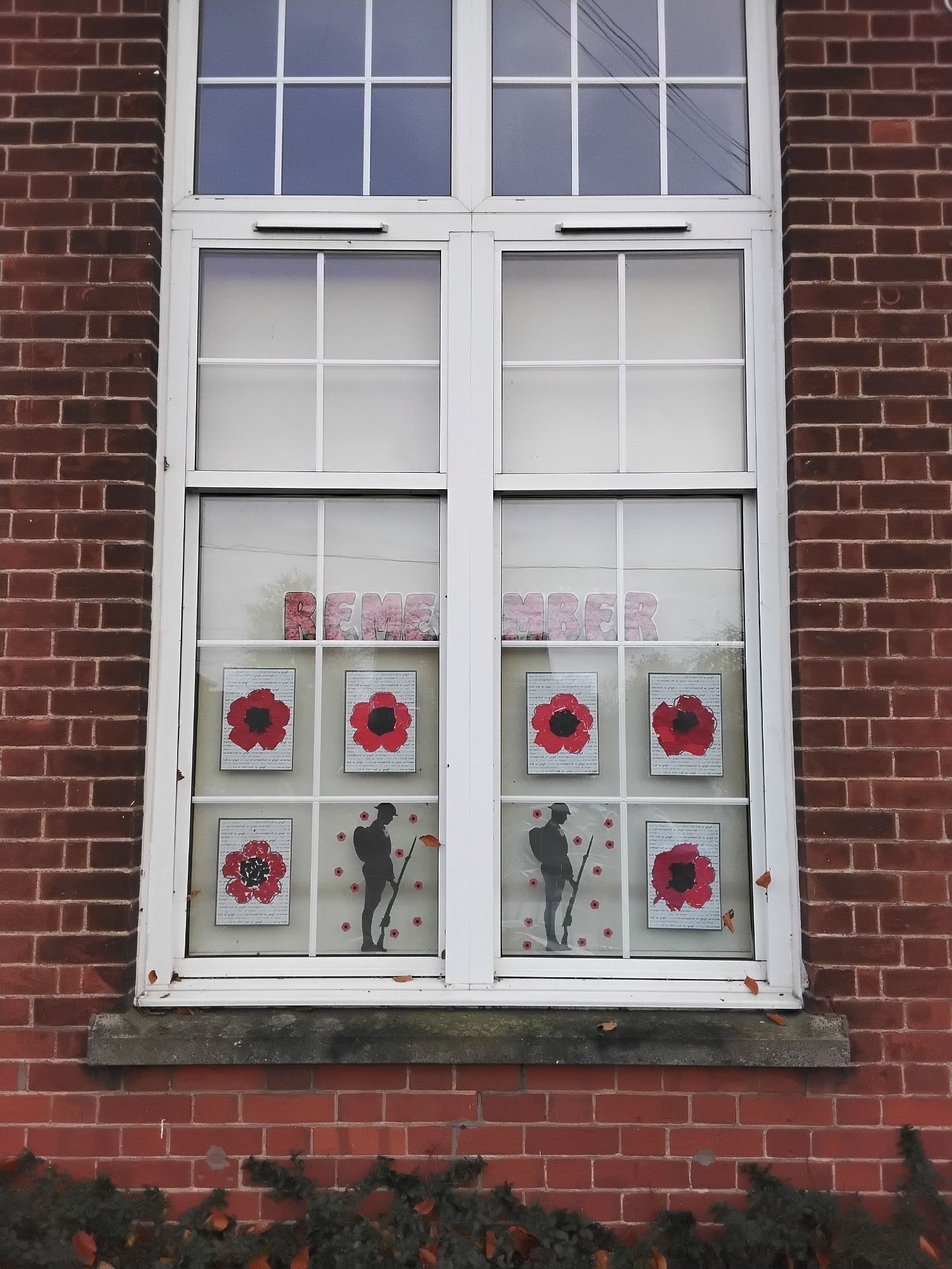 Remembrance day window display
