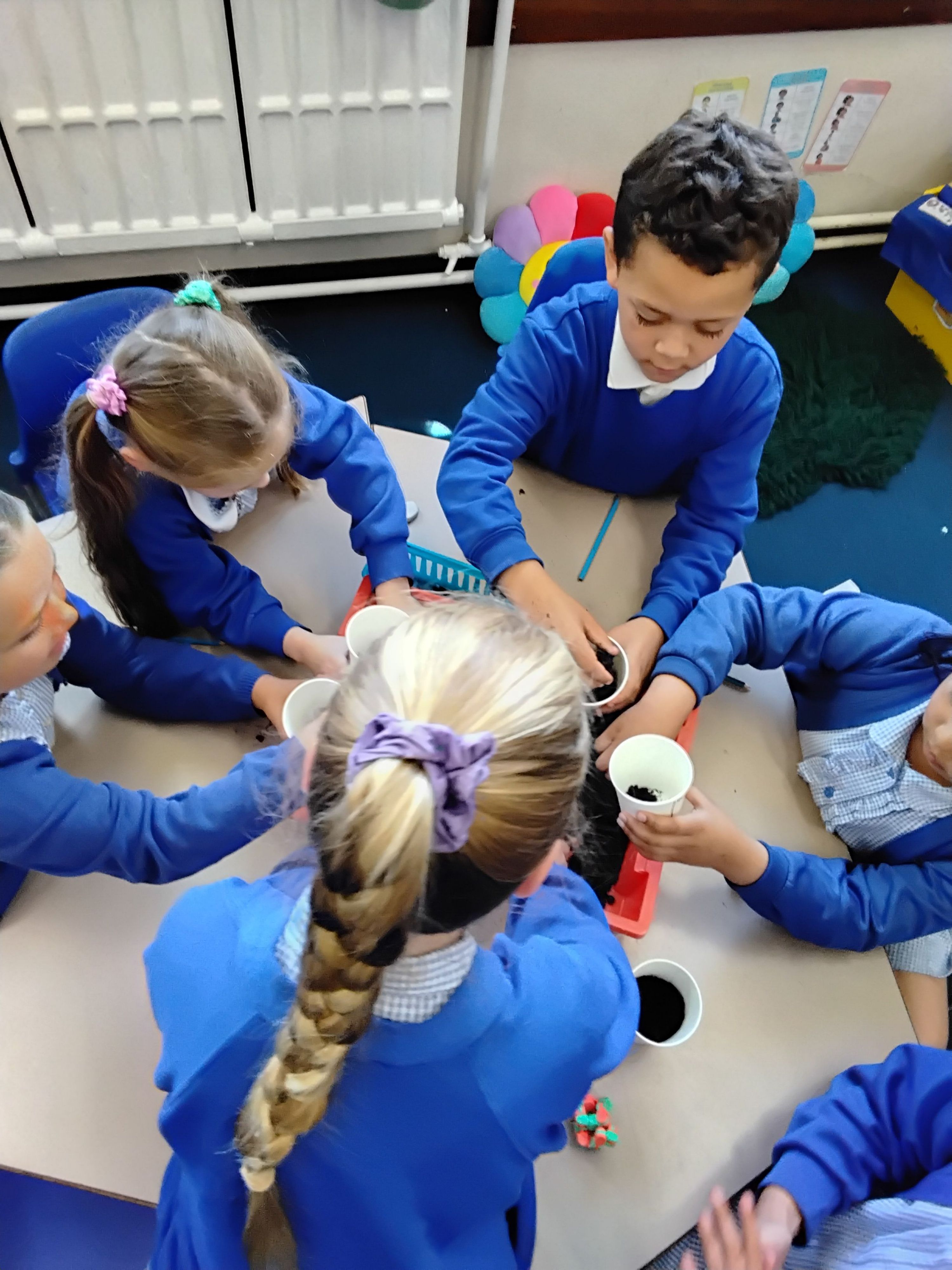 Planting a seed in Science