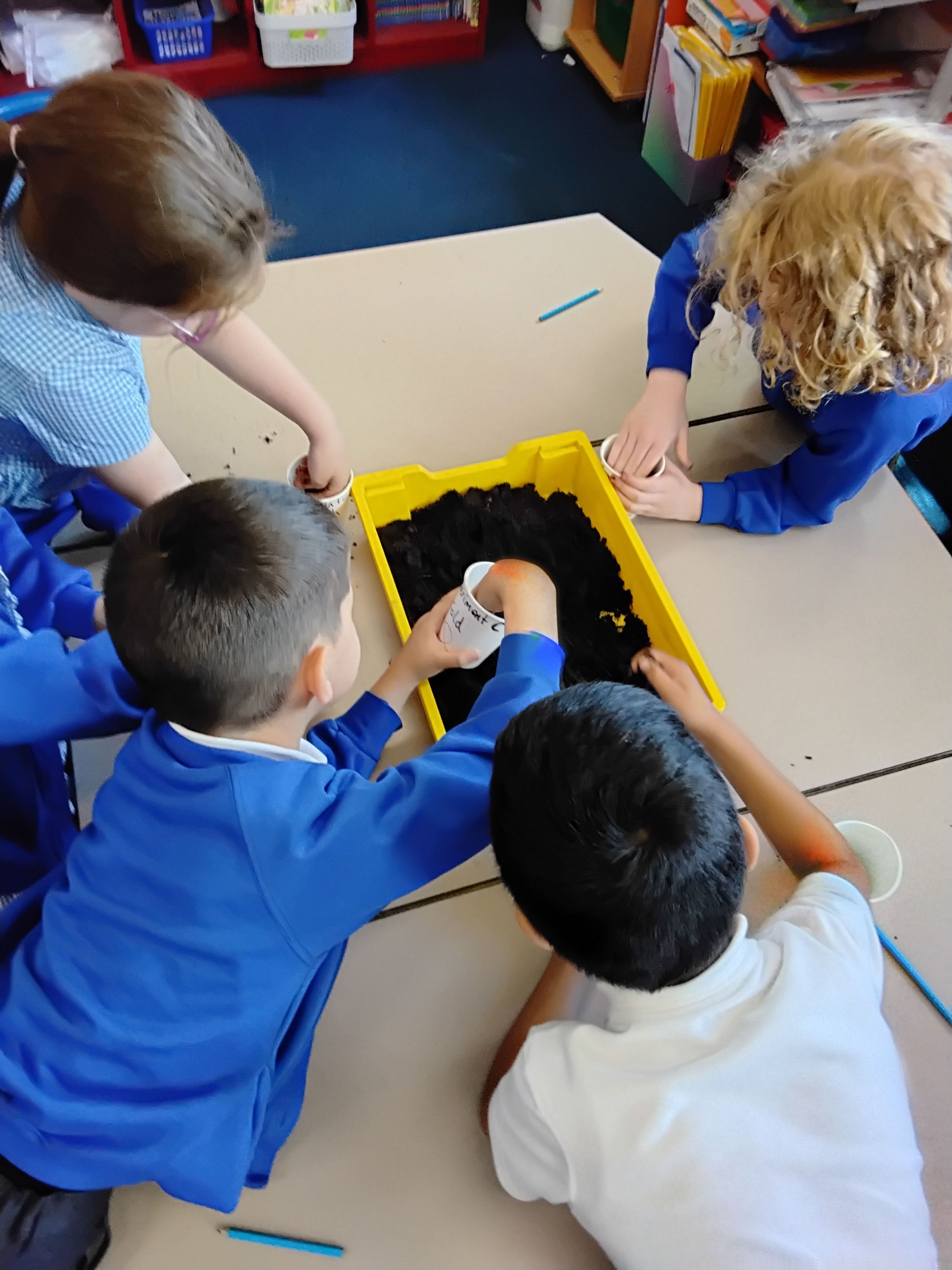 Planting a seed in Science