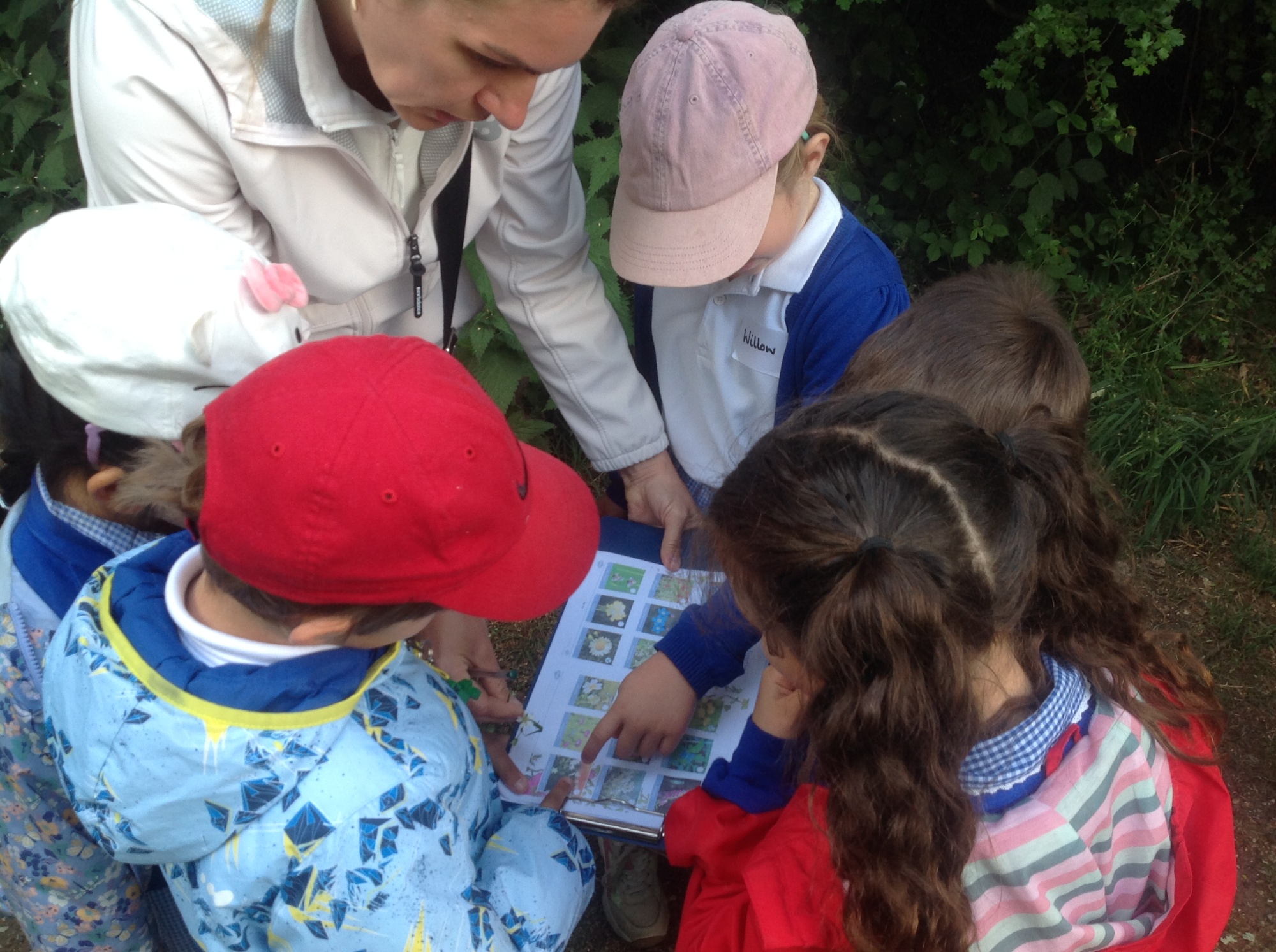 kids identifying trees