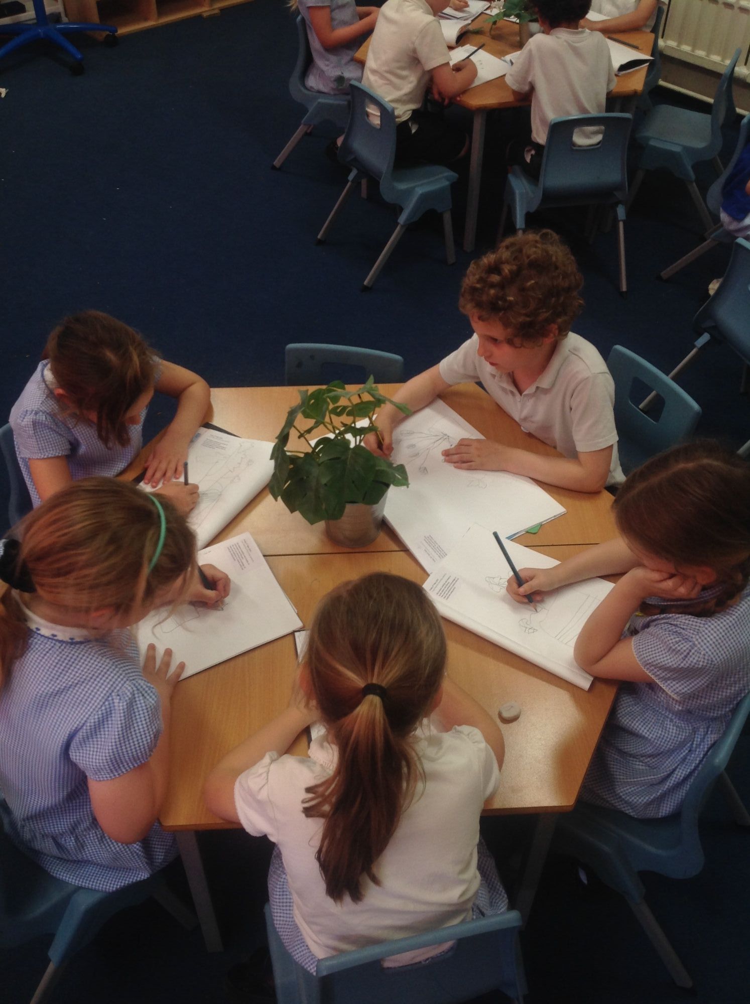 Children drawing plants