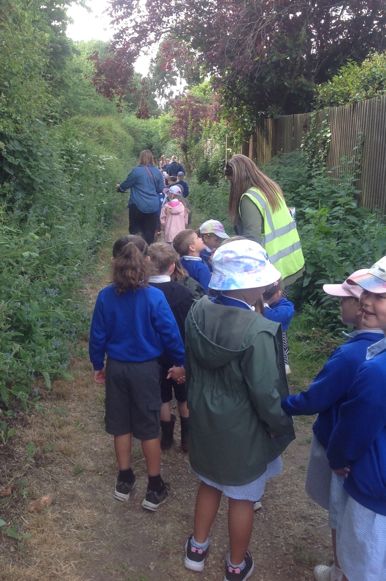 Walking to Grymes dyke