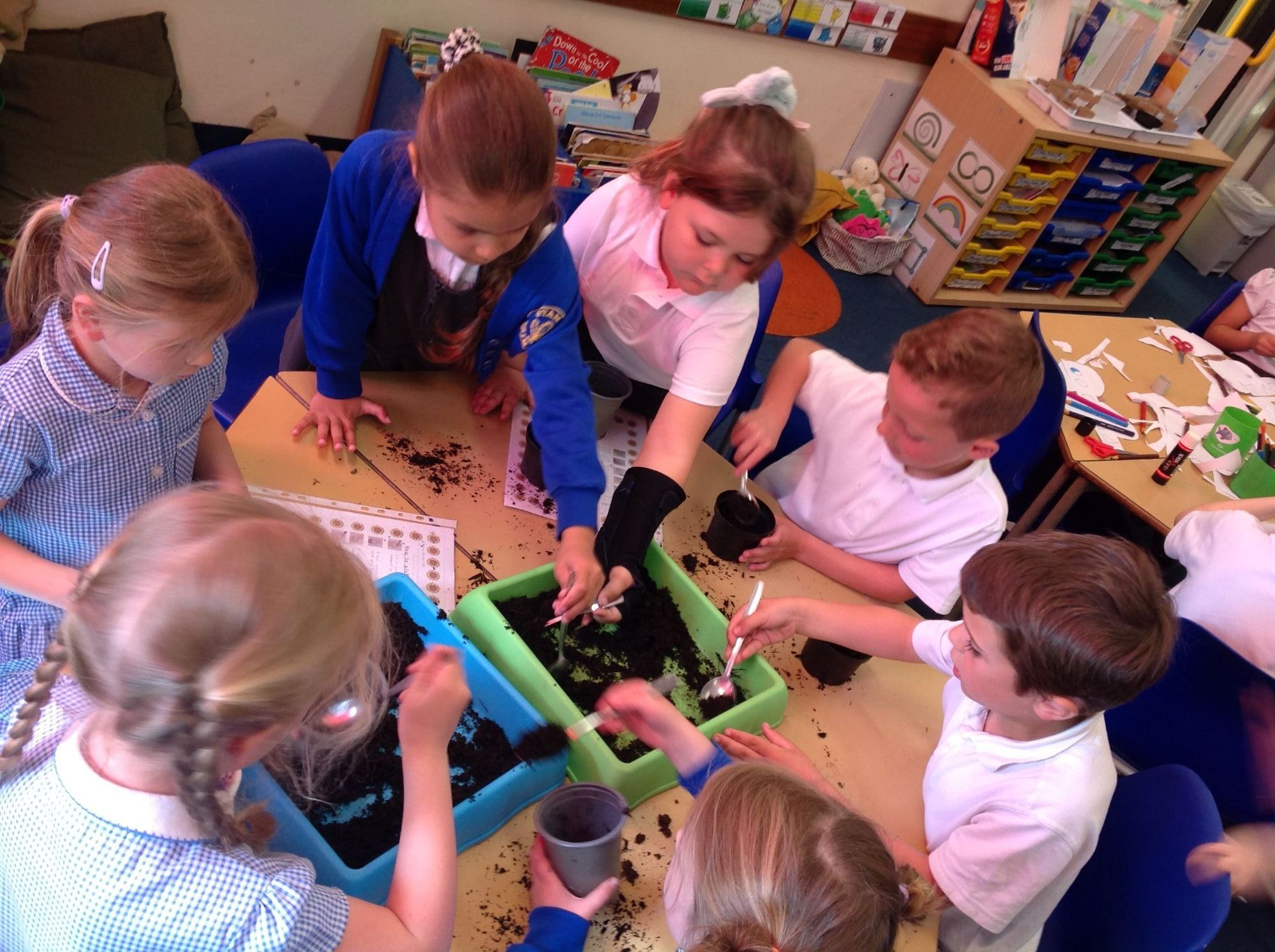 Planting Seeds