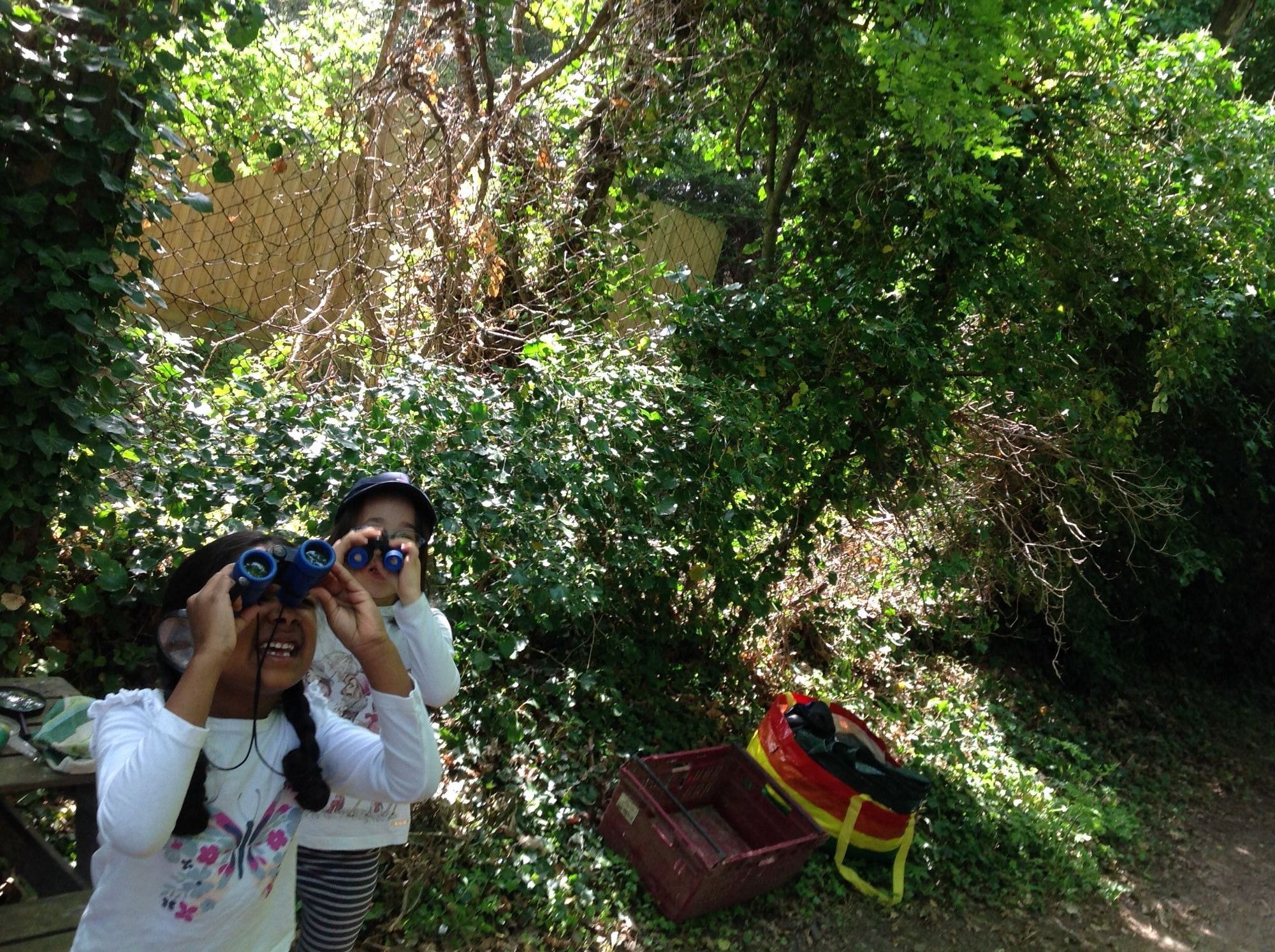 forest school