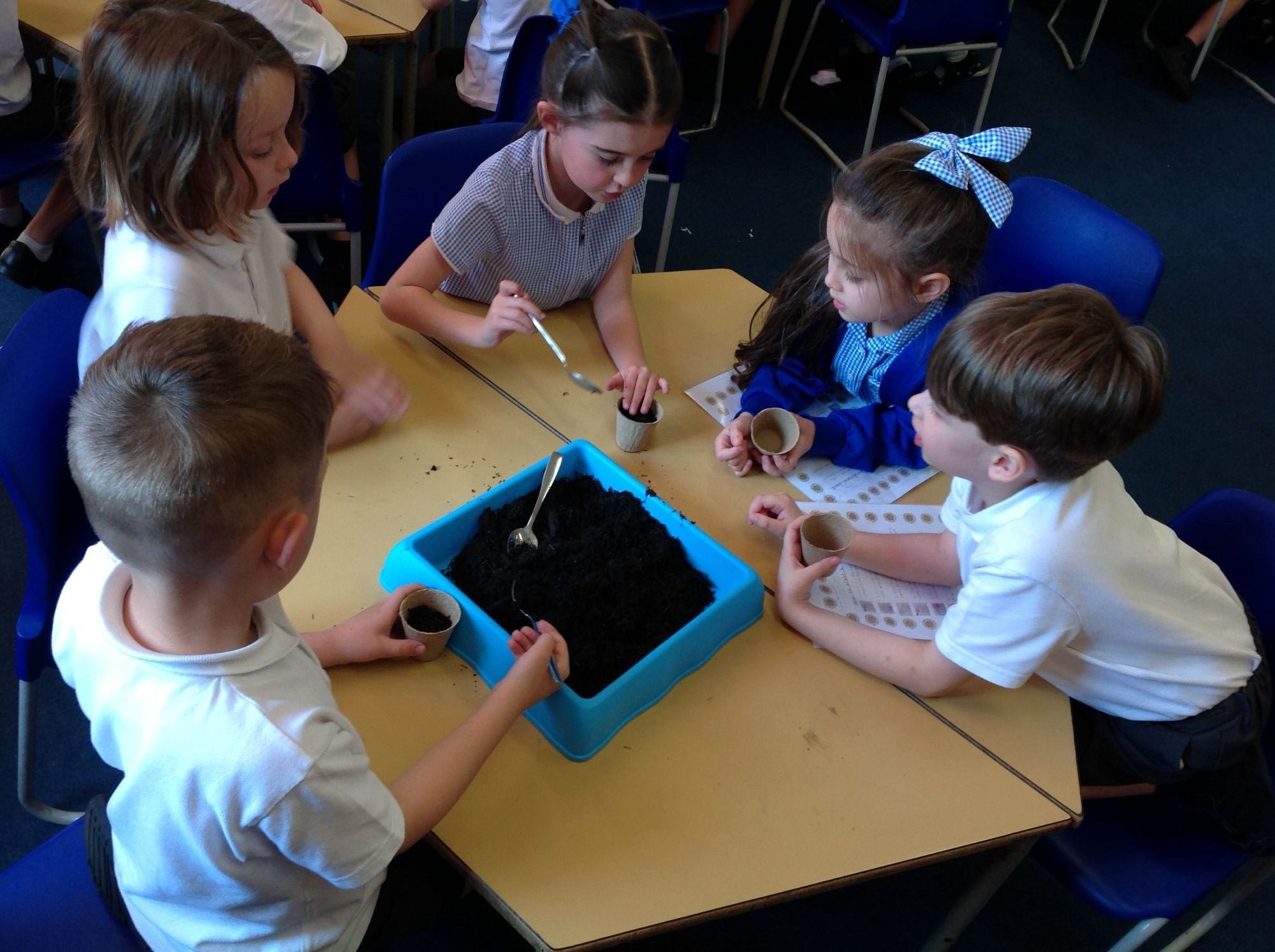 Planting Seeds
