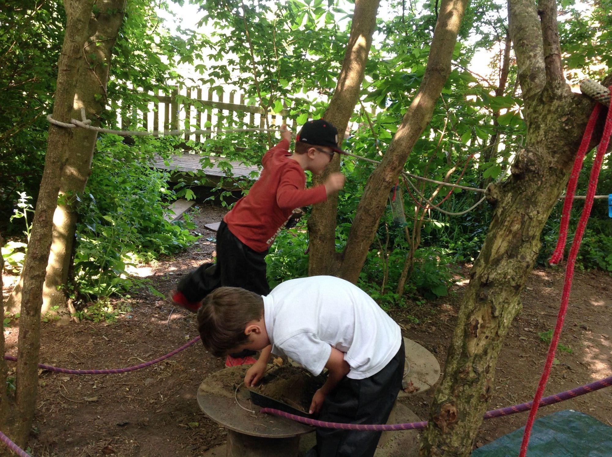 forest fun