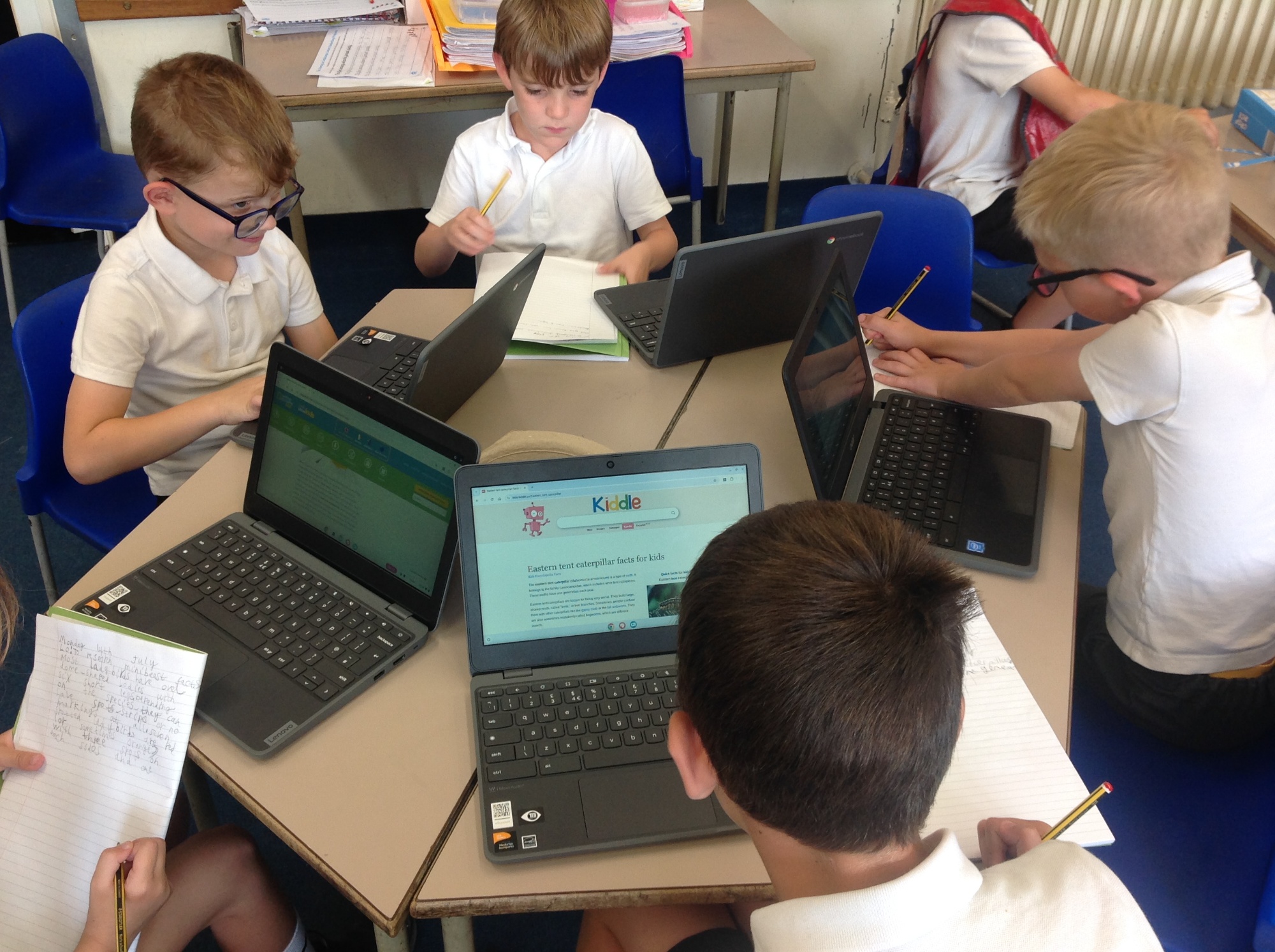 Researching minibeasts in Science