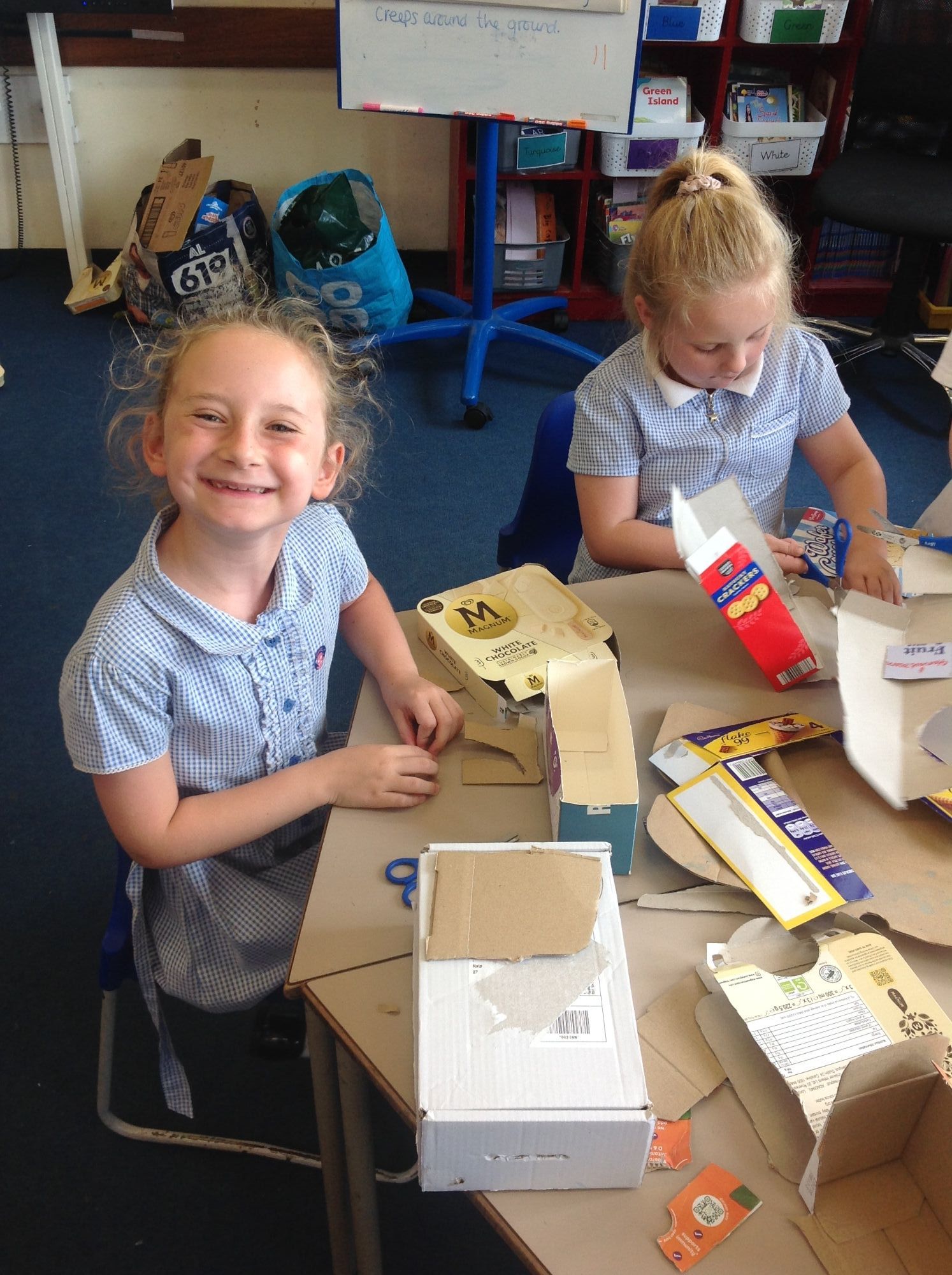 Creating junk model minibeasts in Science