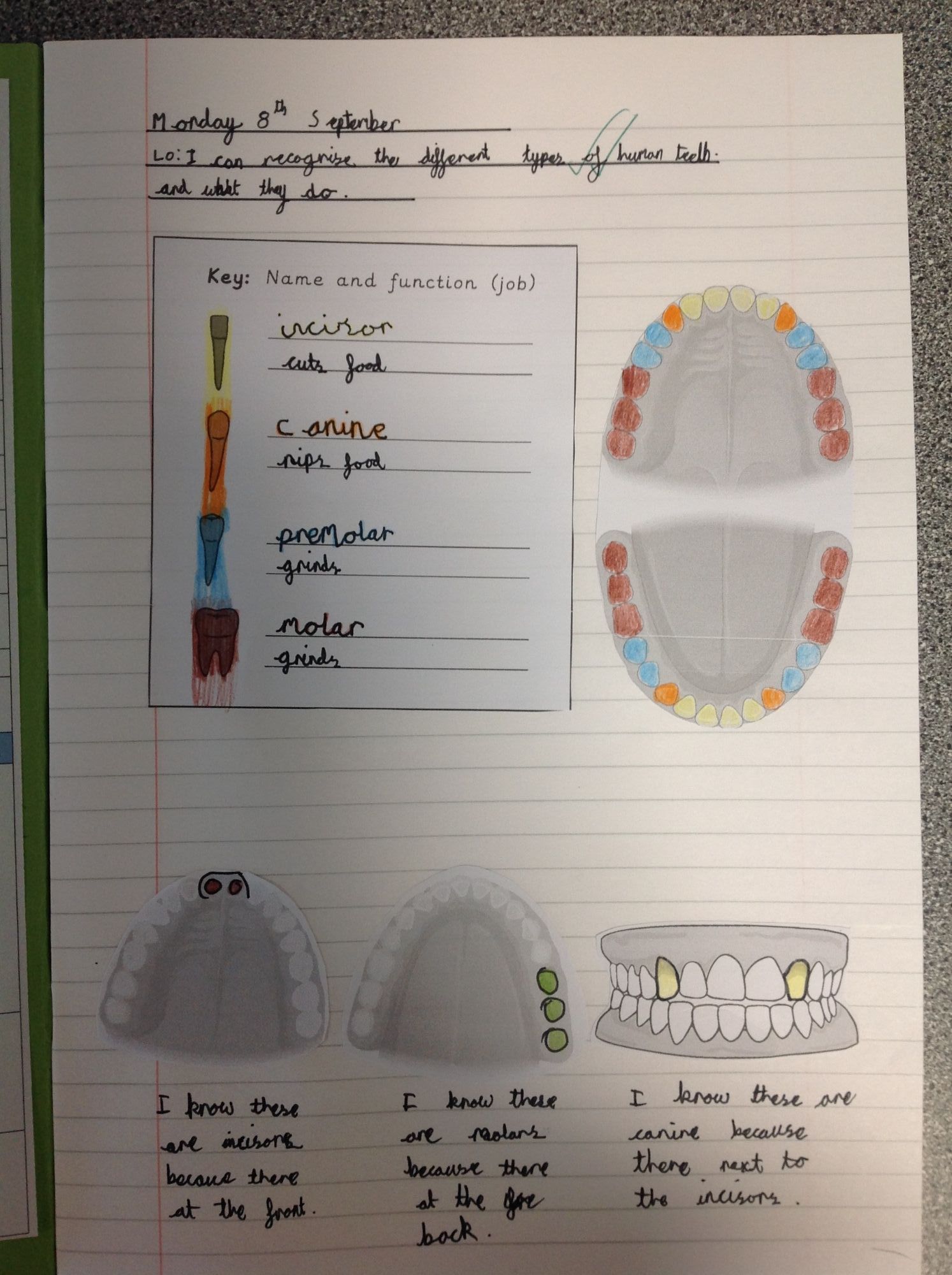 Photo of learning journey