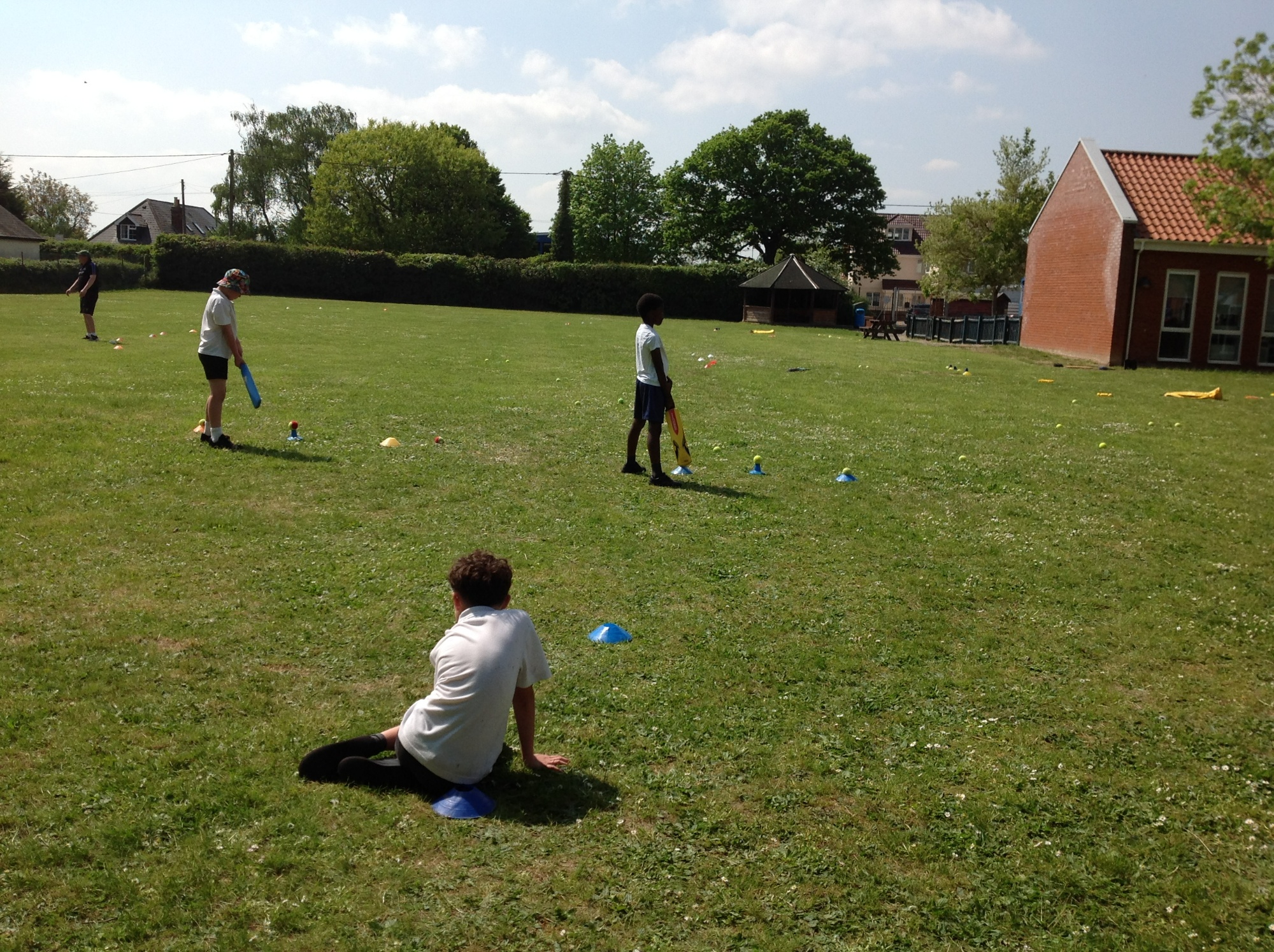 cricket